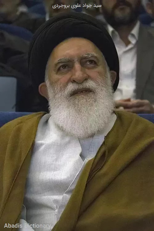 سید جواد علوی بروجردی